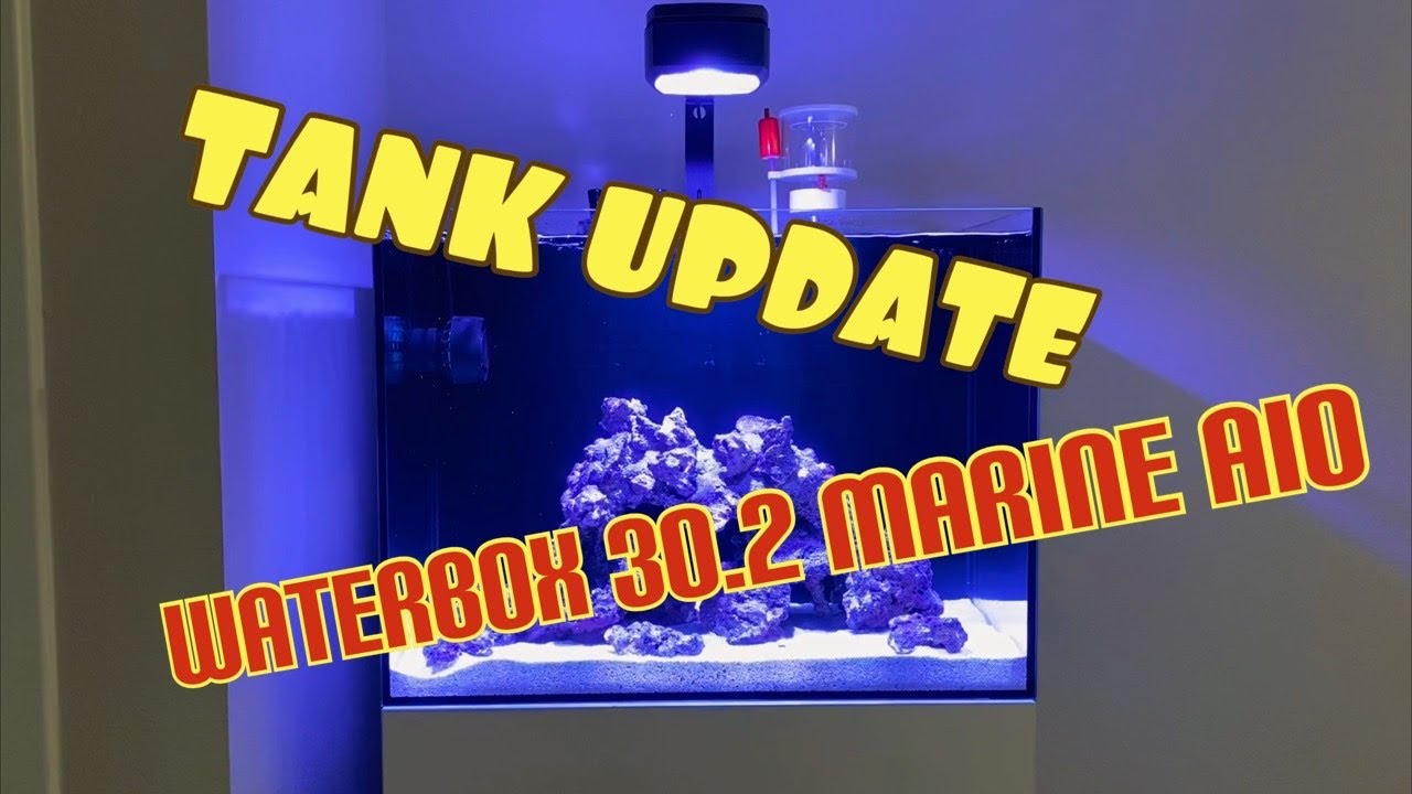 Waterbox AIO Nano Reef Tank Build | Ep. 18 | Tank Update - YouTube