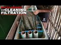 POND WATER CHANGE and FILTER CHAMBER MAINTENANCE | QUALITY POND WATER