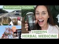 Herbal Medicine Workshop VLOG| Naturopath Herbs | Torrens University Australia