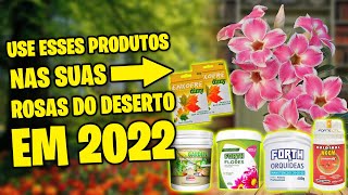 😃5 PRODUTOS que não podem faltar para quem cultiva ROSA DO DESERTO em 2022