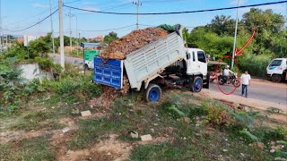 First Start New Perfectly PROJECT!! 8T Dump Truck Transporting Soil With Bulldozer Pushing, Landfill