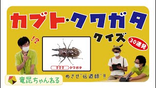 【昆虫クイズ30問】カブトムシ・クワガタムシ編