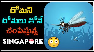 🔥Singapore Facts🔥Telugu Facts 🔥| Unknown Facts| Interesting facts in Telugu | |#Anilfacts #shorts