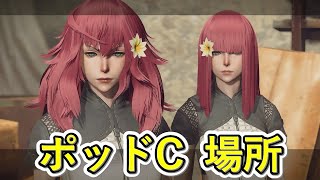 【NieR:Automata】ポッドｃの場所　ネタバレあり