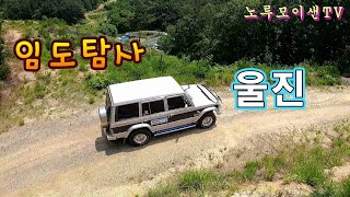 오지산골 임도 탐사여행// A급 오프로드 임도 공개//노지 차박캠핑!!