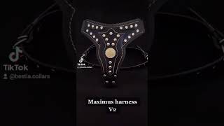 NEW Bestia Maximus Harness V2