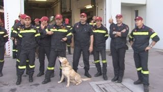 Ματαιώθηκε η αποστολή της ελληνικής Μονάδας Έρευνας – Διάσωσης στο Νεπάλ