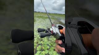 Casting dengan joran daido black mamba dan reel shimano Scorpion DC #mancing #mancingmania #casting