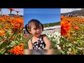 桃園花彩節2020 taoyuan flower festival 2020 ang ganda ng view pinay and taiwanese life in taiwan