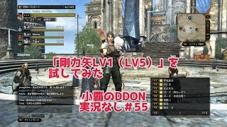 【DDON】小覇のDDON実況なし ＃55「剛力矢LV1（LV5）」