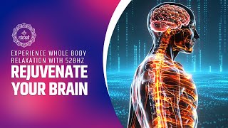 Relieve Stress and Rejuvenate Your Brain | Experience Whole Body Relaxation with 528Hz