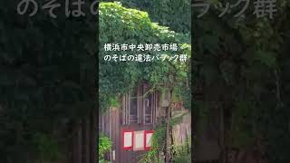 横浜市中央卸売市場周辺の違法バラック群 #Shorts