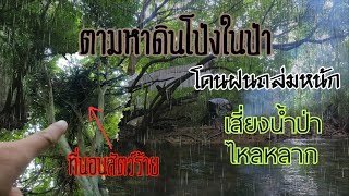 ตามหาดินโป่งในป่า เจอฝนถล่มหนักเสี่ยงน้ำป่าไหลหลาก เกือบต้องย้ายที่นอน