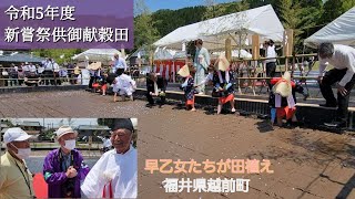 令和5年度新嘗祭献穀米御田植式