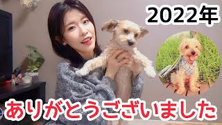 【2022年】今年1年を振り返るはずが全く振り返れなかった動画です【皆様に感謝】