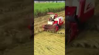 lovol harvester rg108 plus #agrirobo