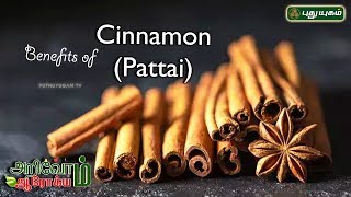 Benefits Of Cinnamon(Lavanga Pattai) | இலவங்கப் பட்டையின் பயன்கள் | EP 52 | Arivom Arogyam