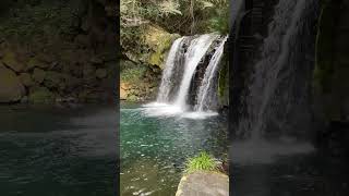 静岡県河津町　河津川・河津七滝　初景滝 IMG 4947 2