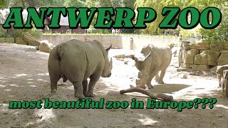 🇧🇪 ANTWERP ZOO - WALKING TOUR | 4K UHD