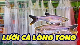 Lưới Cá Lòng Tong Ship Toàn Quốc 0778.282.282 | Lưới giăng cá lòng tong khổ 1m lổ 1p 1p2