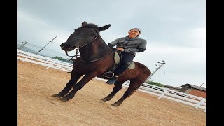 林柏宏第一次找嘸感覺 「馬震」2小時受挫