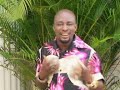 Daddy Kris Cat & Rat 1