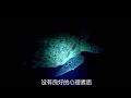 deep sea night fishing full of fish catching fish with bare hands free divingfishing outdoor ca...