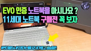 11세대 노트북 추천 EVO 인증을 아시나요 ? 타이거레이크-H 까지 알아보자