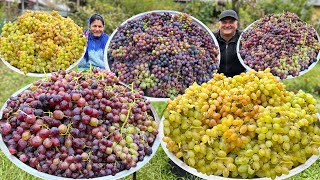 100 KG GRAPE | We've Been Doing it for 30 Years, We Never Gave Up! Compote and Jam Recipe