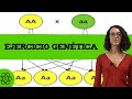 Ejercicio de genética con 2 caracteres 🧬 (nivel medio)