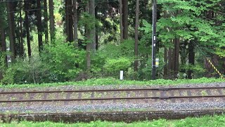 【奥出雲おろち号】出雲坂根スイッチバック（下り）