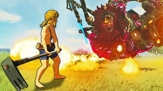 I beat Breath of the Wild with just your mother