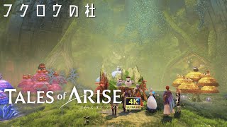 『テイルズ オブ アライズ / Tales of ARISE』Episode:53【フクロウの杜】HARD Walkthrough [4K]