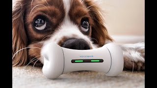 Wickedbone Smart Bone - Automatic & Interactive Toys for Dogs,