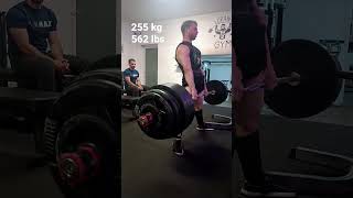 255 kg / 562 lbs Deadlift PR @66 kg / 145 lbs bw