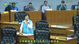 1100316台東縣議會第19屆第13次臨時會--審查議案