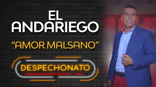 Amor Malsano (Con Letra) - El Andariego | Música Popular