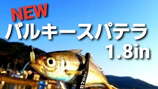 【issei】海太郎バルキースパテラ1 8inでアジング！これは良い。誰でも簡単にアジが釣れるワームです