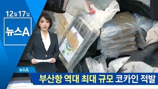 부산항서 200만명 분 코카인 적발…역대 최대 규모 | 뉴스A