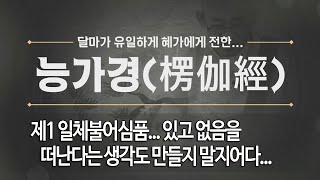 능가경... 제 45 회 제1 일체불어심품... 있고 없음을 떠난다는 생각도 만들지 말지어다...