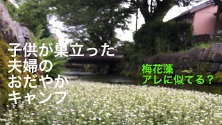 滋賀県　醒ヶ井の梅花藻　2021年