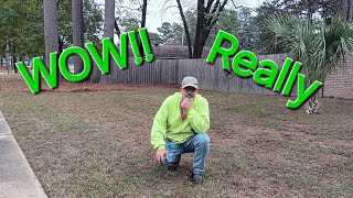 Another  Leaf Clean Up Video!!!!