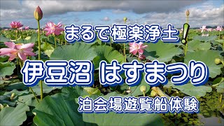 2021年8月　伊豆沼はすまつり遊覧船