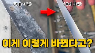 [미용가위의 모든 것 47탄] 녹슨 가위 새 가위로 변신!