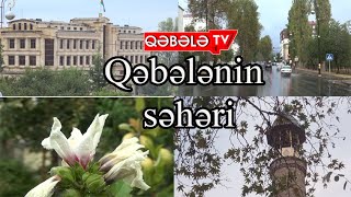 QƏBƏLƏNİN SƏHƏRİ -QƏBƏLƏ TV