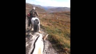 Ridetur på Hardangervidda