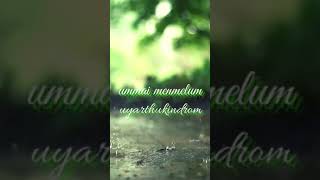 Balamaga I Christian Song Tamil I John Jebaraj Songs I Jesus Song Tamil