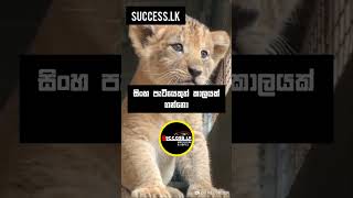 අනිවාරෙන් සහෝදරයා 😎❤️ #motivation #advice #motivationsinhala #sinhala #srilanka