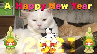 新年明けましておめでとうございます　A Happy New Year 2021