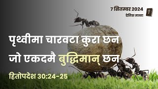 हितोपदेश 30:24-25 | पृथ्वीमा चारवटा कुरा छन जो एकदमै बुद्धिमान् छन | दैनिक मन्ना